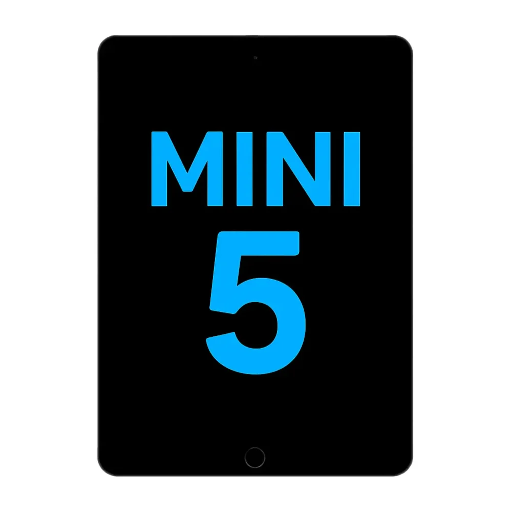 iPad Mini 5 LCD